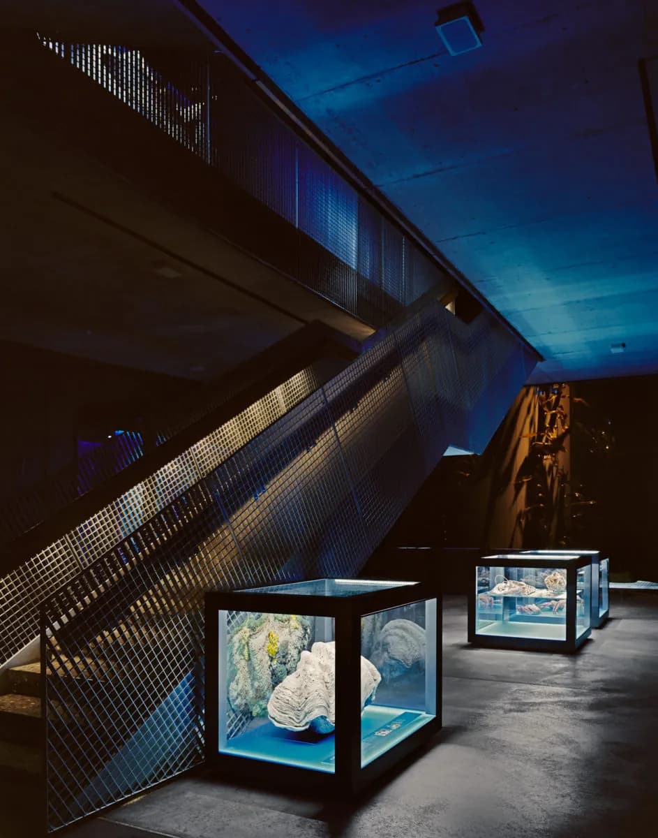 DachListstr   x webp